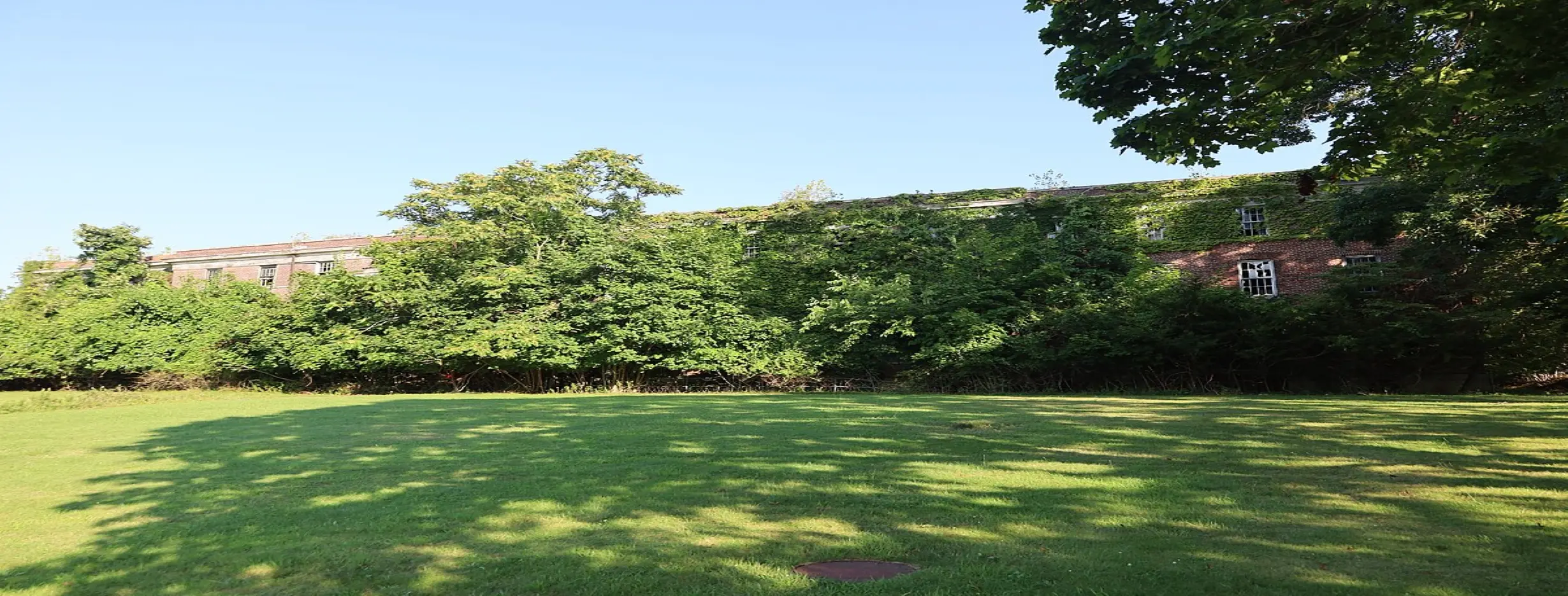 Image for Kings Park